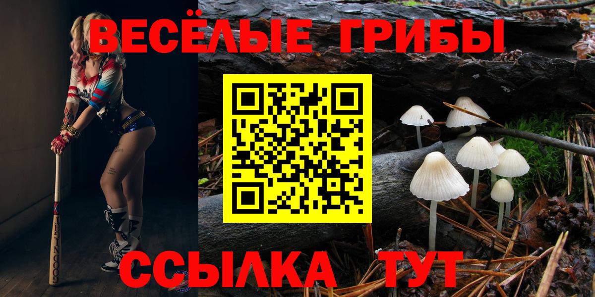 Псилоцибиновые грибы мухоморы Бирск
